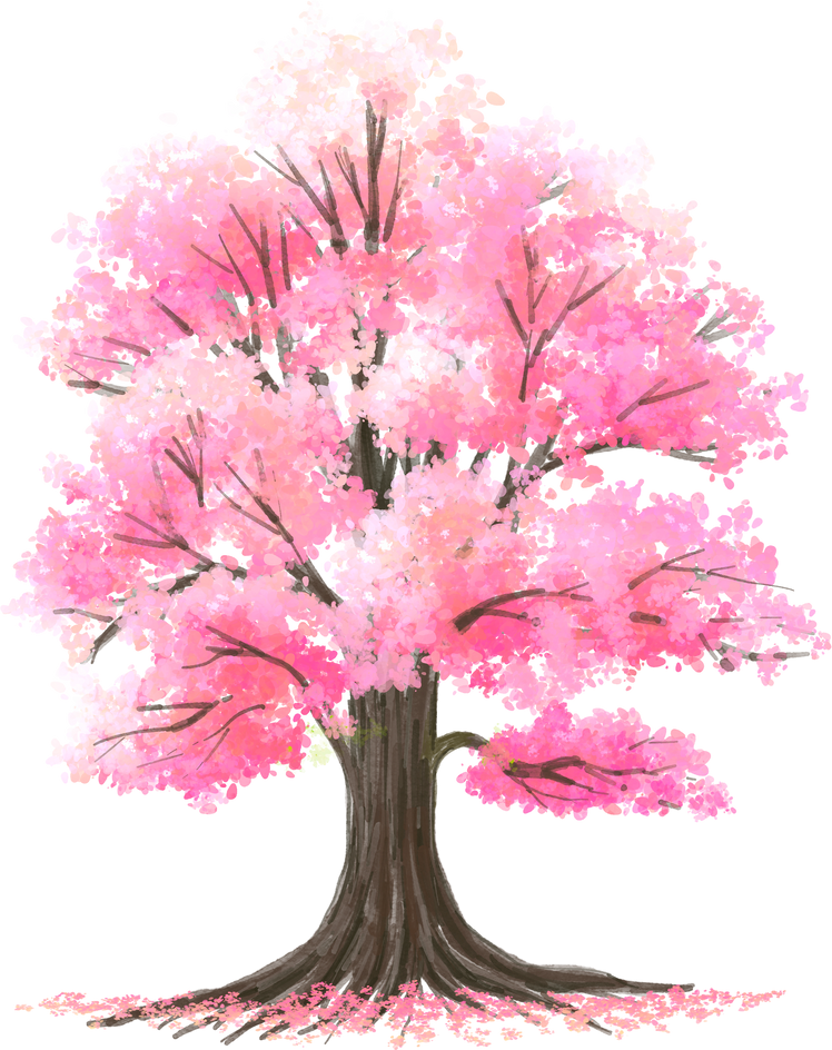 Watercolor Sakura tree for elevation or landscape design